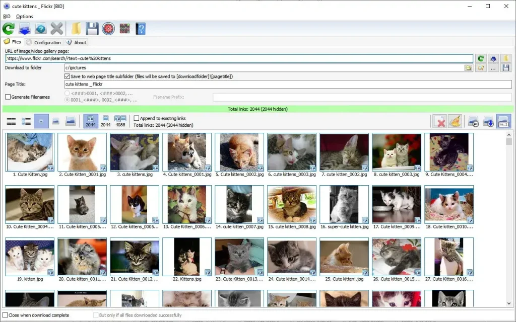 Bulk Image Downloader Crackeado + 6.55 Key Último 2025
