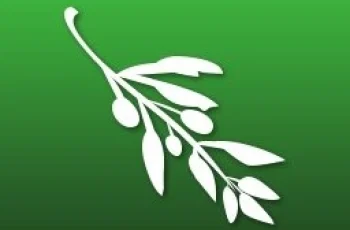 Olive Video Editor 0.2.0 Build 65970f52 Crackeado Download