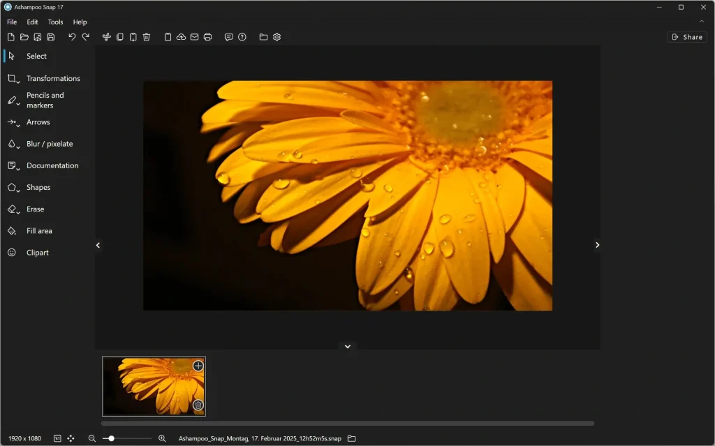 Ashampoo Snap Crackeado