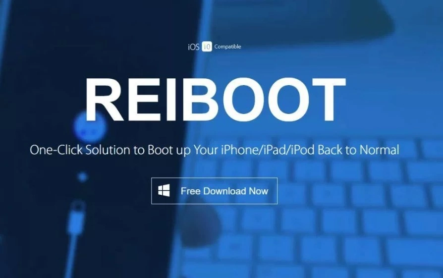 ReiBoot Pro Crackeado