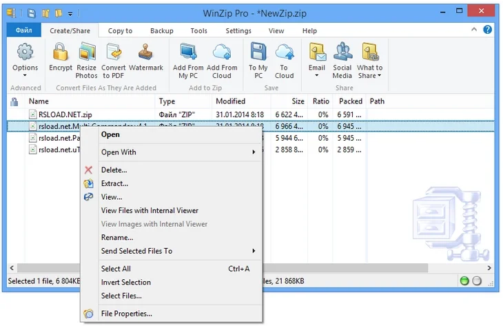 WinZip Pro