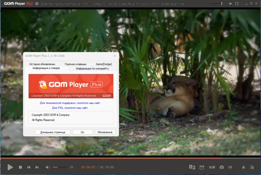 Baixar GOM Player Plus